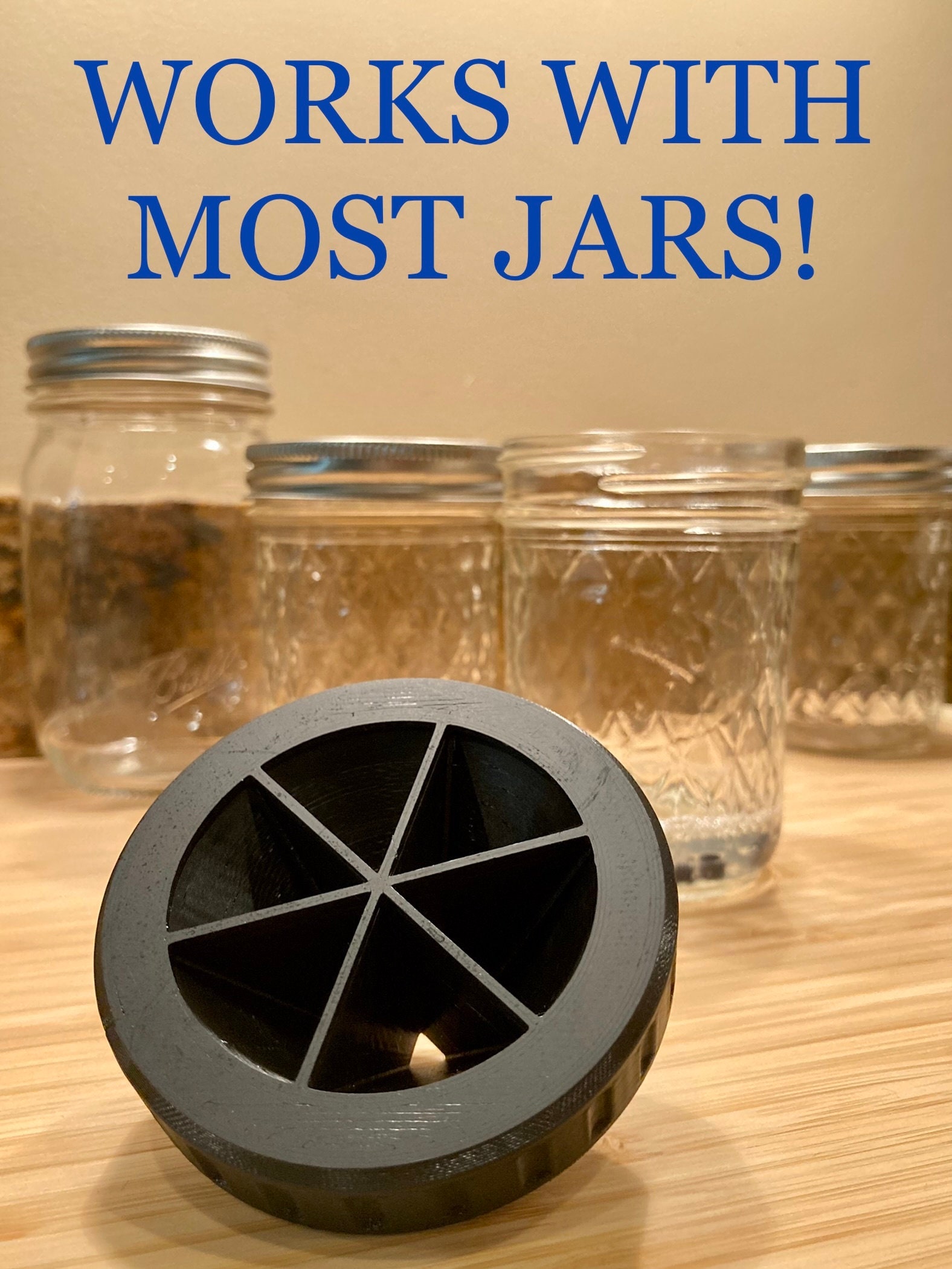 Fruit Fly Mason Jar Trap Fruit Fly Catcher Mason Jar Lid Kitchen Essential, Perfect Gift for