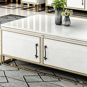 May include: A white rectangular coffee table with a glossy finish, featuring two cabinet doors with black twig-shaped handles. The table is accented with gold-toned metal trim along the edges and base, and topped with two glass vases containing greenery.