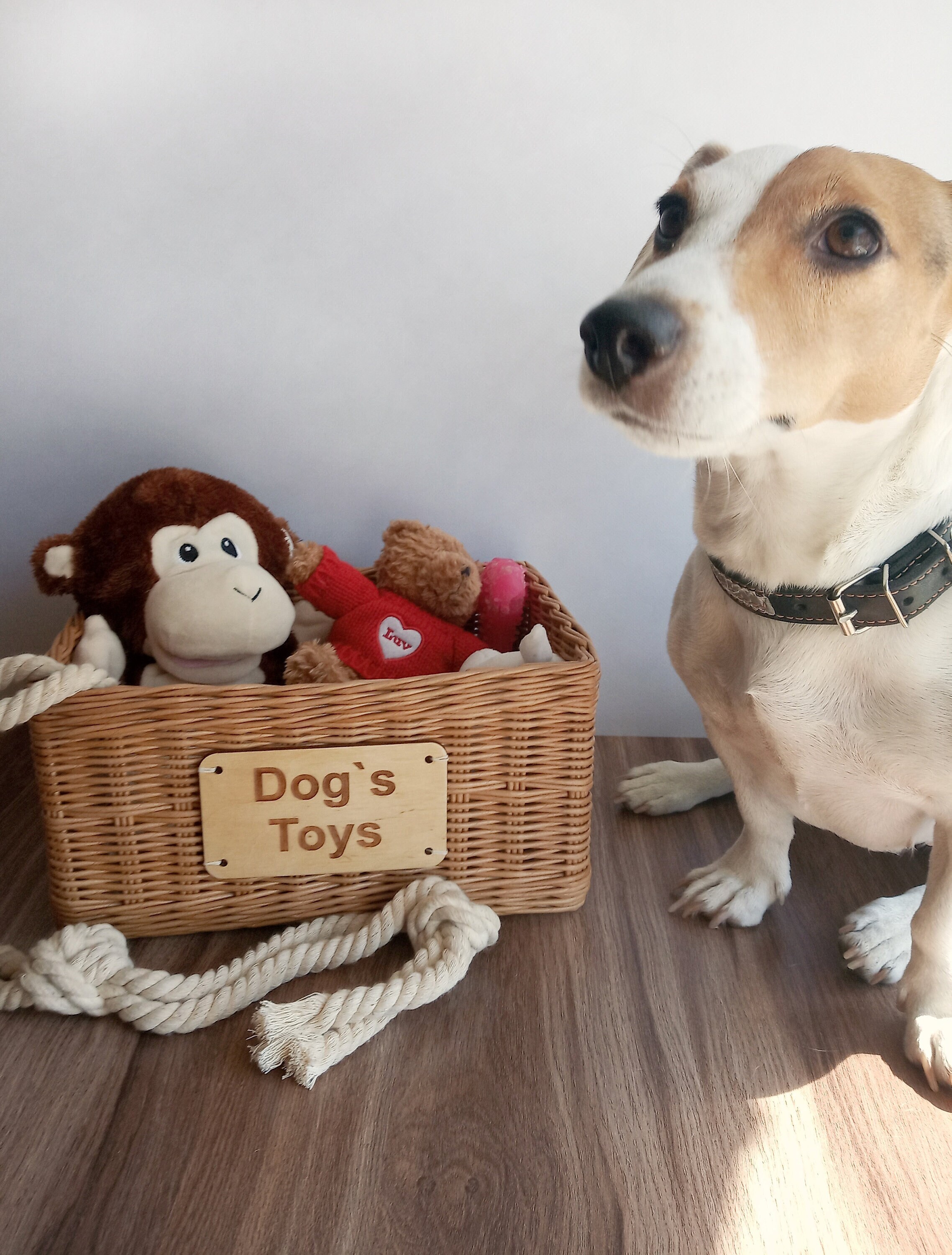 Storage Basket for Dog Toys. Personalized Basket With Toys for the Dog