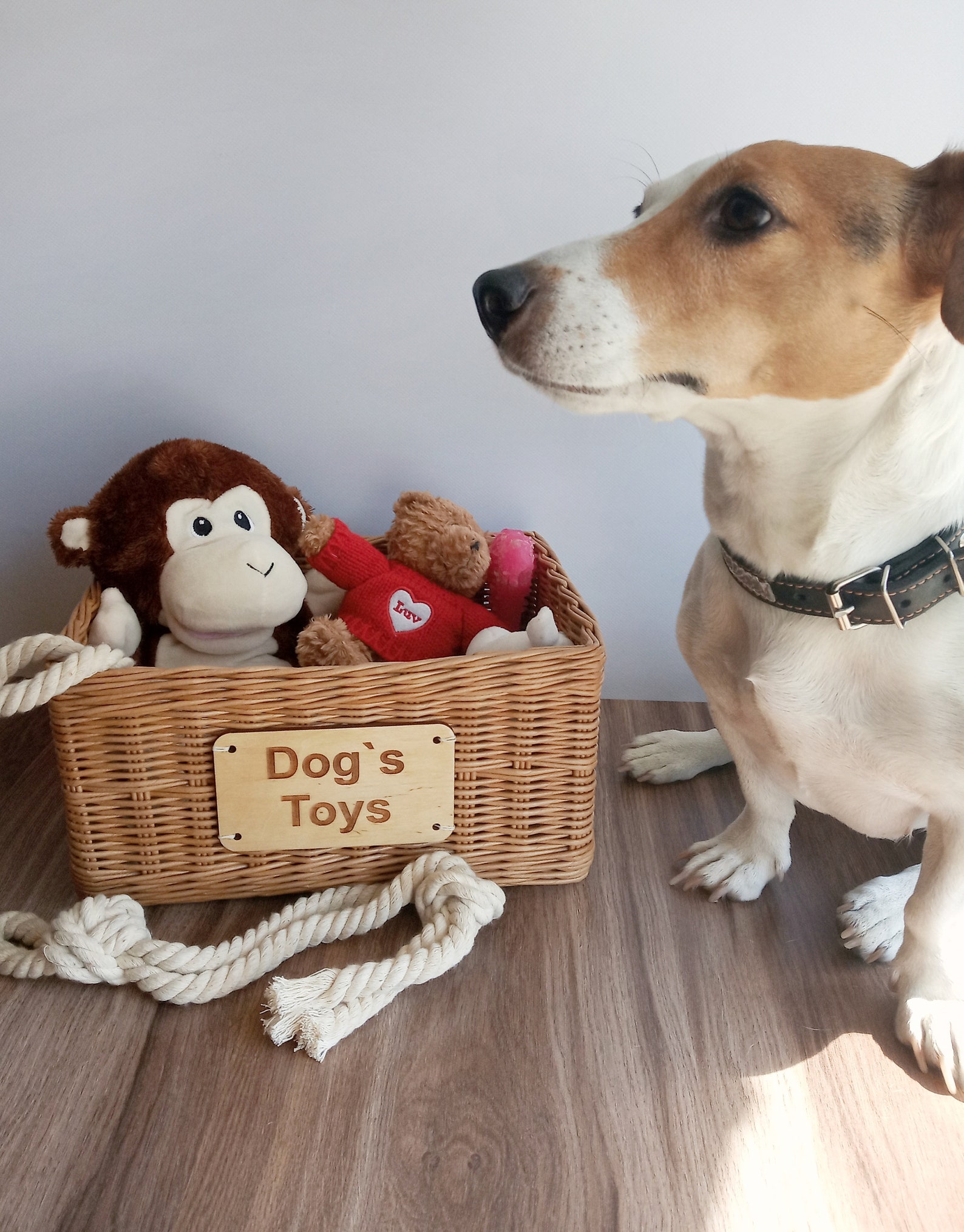 Storage Basket for Dog Toys. Personalized Basket With Toys for the Dog