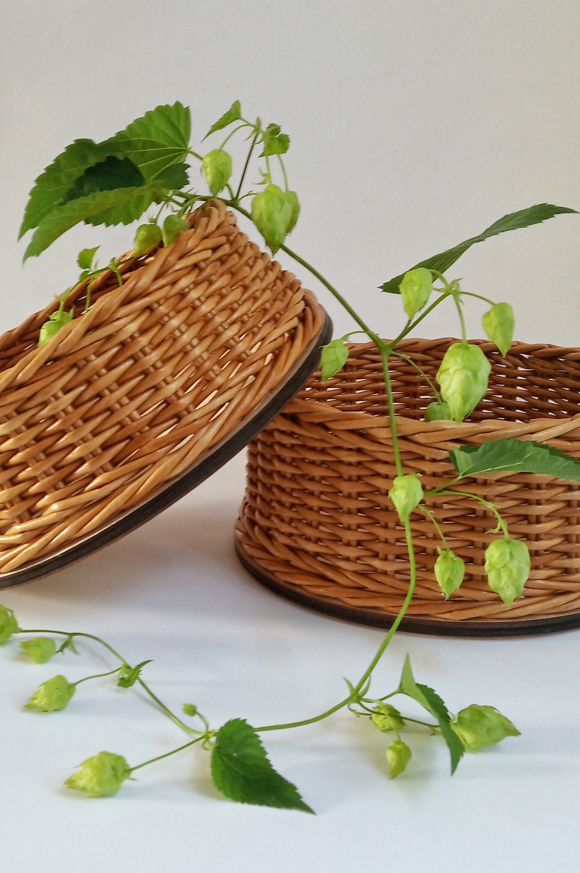 Box zum Aufbewahren von Snacks Süßigkeiten Früchten. | Etsy