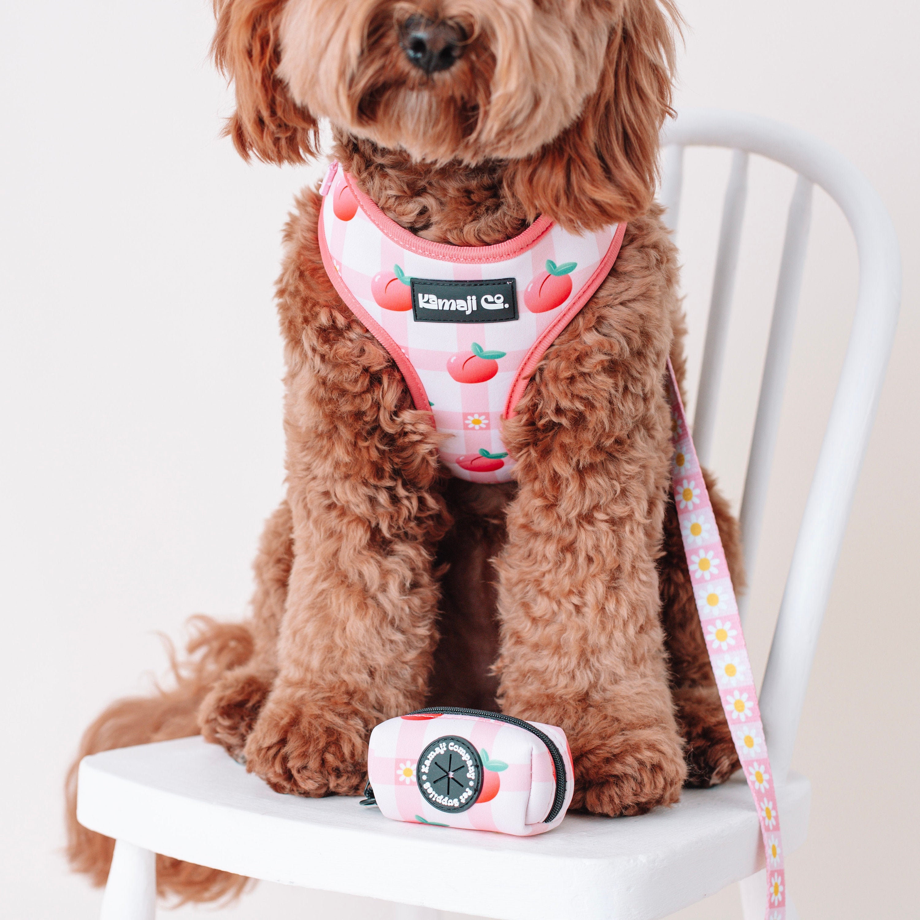 Precious Peach Collection Harness Set Dog Harness Adjustable Etsy
