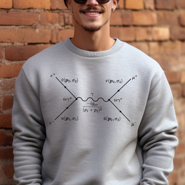 FEYNMAN Diagram Sweatshirt, Physics Professor Gift, Physics Teacher Sweater, Science Gifts, Quantum Physics, Science Teacher, Unisex Sweater