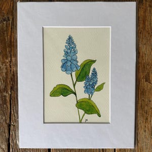 Blue Hyacinth Flower Print
