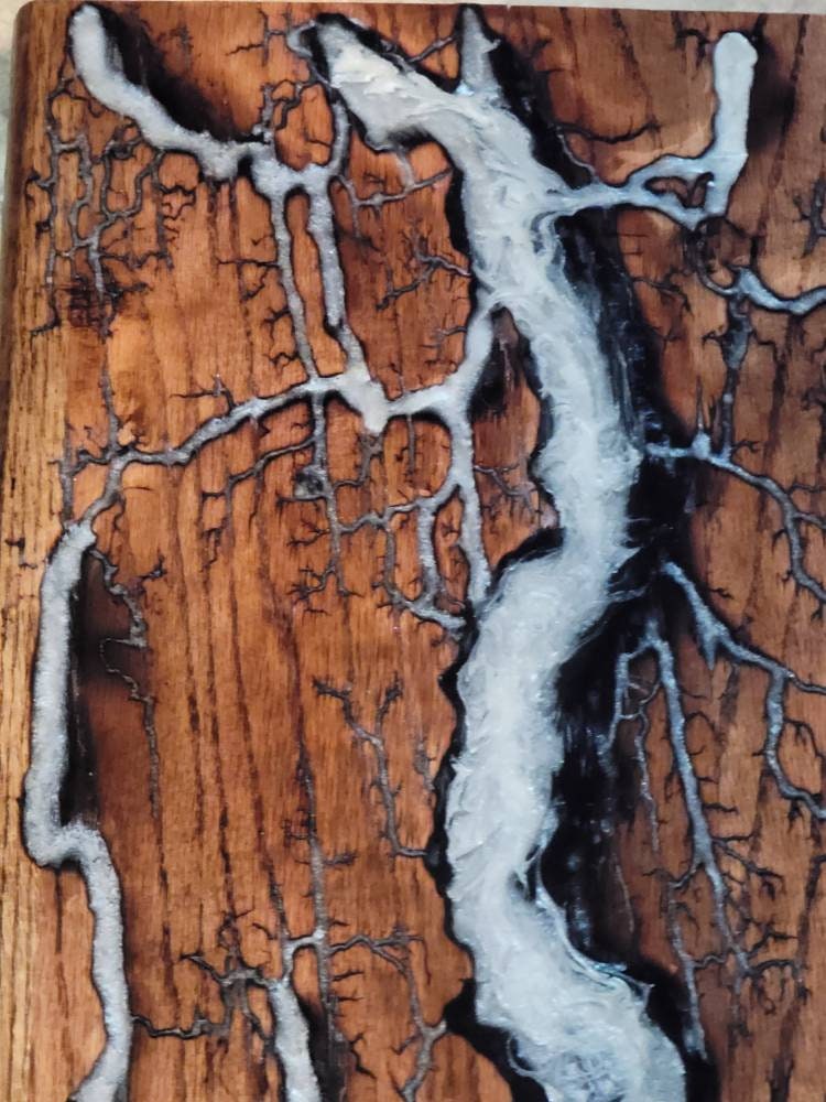 Fractal burn epoxy resin filled custom order Etsy