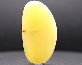 Baltic amber piece, hand-polished - Exact piece (6)