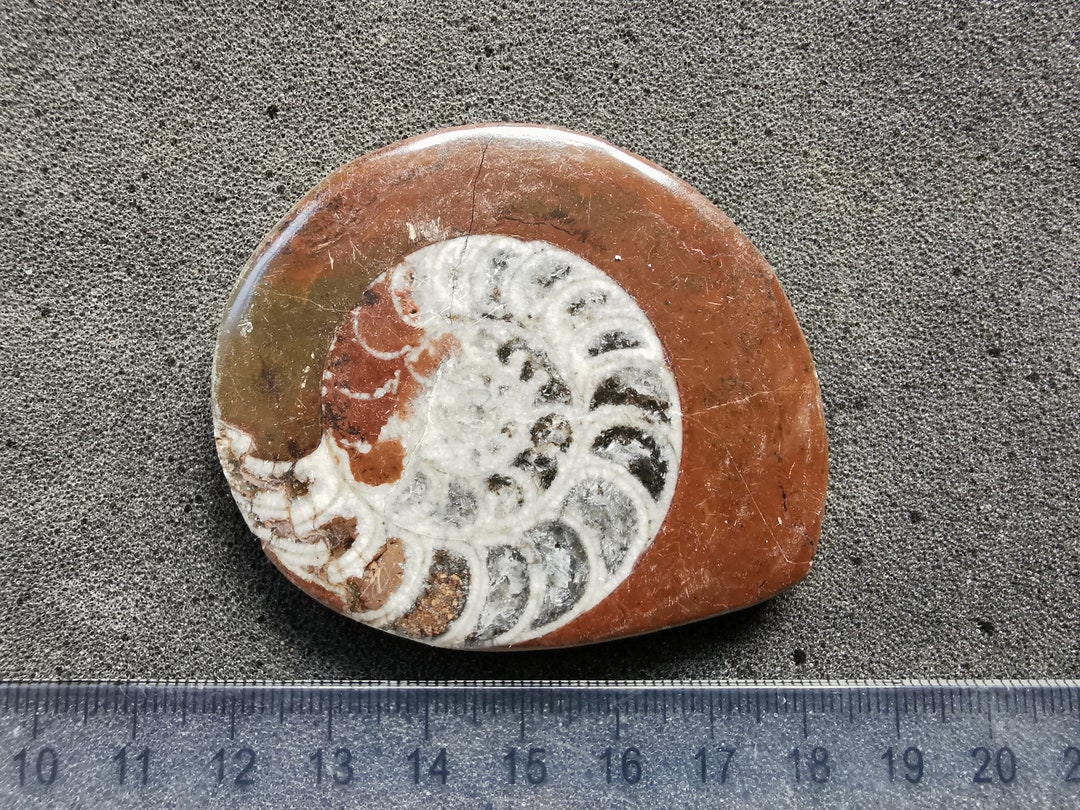 il_1080xN.4463825219_2sv1.jpg