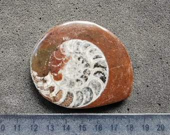 il_340x270.4463825219_2sv1.jpg