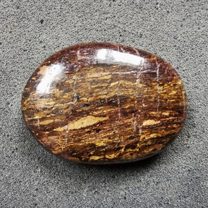 Polished Bronzite Mineral: Golden Brown Streaks, Collector&#39;s Gift