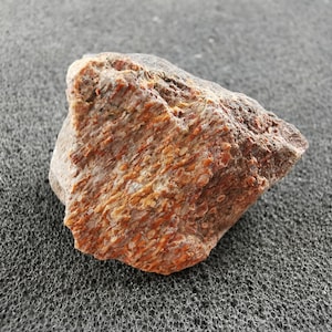 Dinosaurusbotfragment fossiel Agatized - Zak van 3 - Geweldig cadeau voor verzamelaars