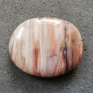 Petrified wood fossil polished - Individual pieces - Great gift for collectors