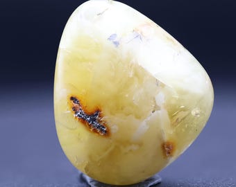 Baltic amber piece, hand-polished - Exact piece (41)