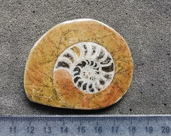 il_340x270.4416453242_3jdg.jpg