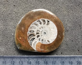 il_340x270.4463826429_4pin.jpg