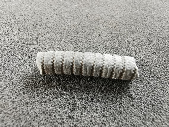 バンピーウミユリの茎の化石 - 15個以上入り - コレクターギフト