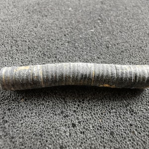 Crinoid Stem fossil smooth - Bag of 15 or more - Great gift for collectors