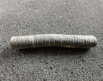 Crinoid Stem fossil smooth - Bag of 15 or more - Great gift for collectors