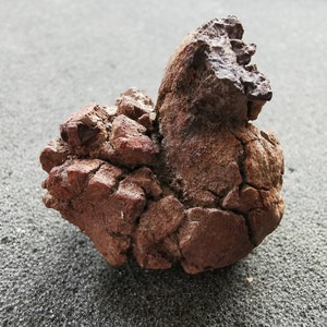 May include: A brown, irregularly shaped rock with a rough, textured surface. The rock has a unique, organic shape that resembles a bird.