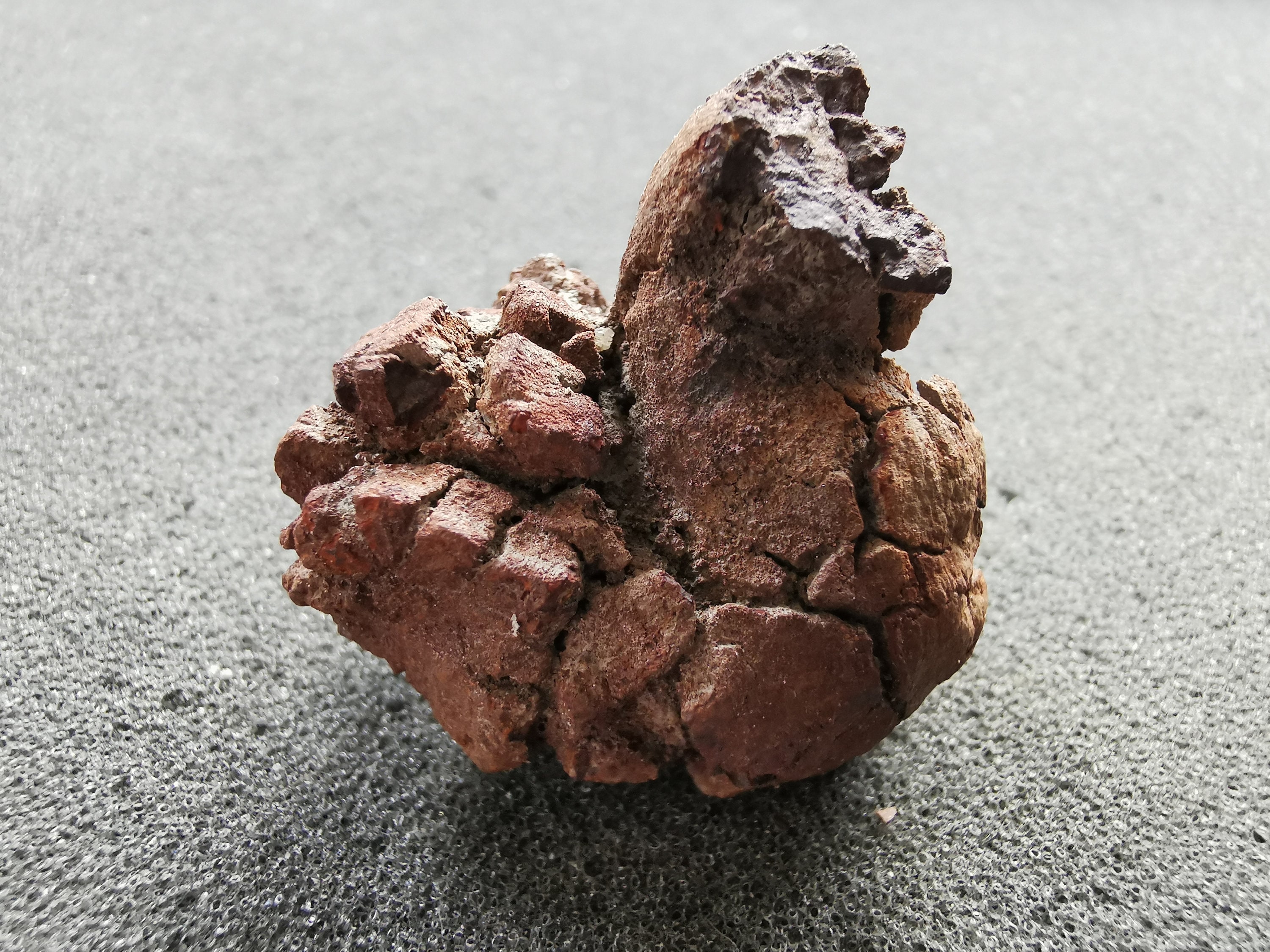 100% Original Dinosaurier Koprolit Poo Fossil In