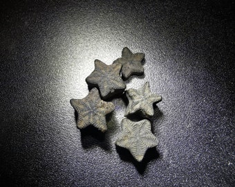 Crinoid Star fossil - 30 pieces - fairy coins - Great gift for collectors