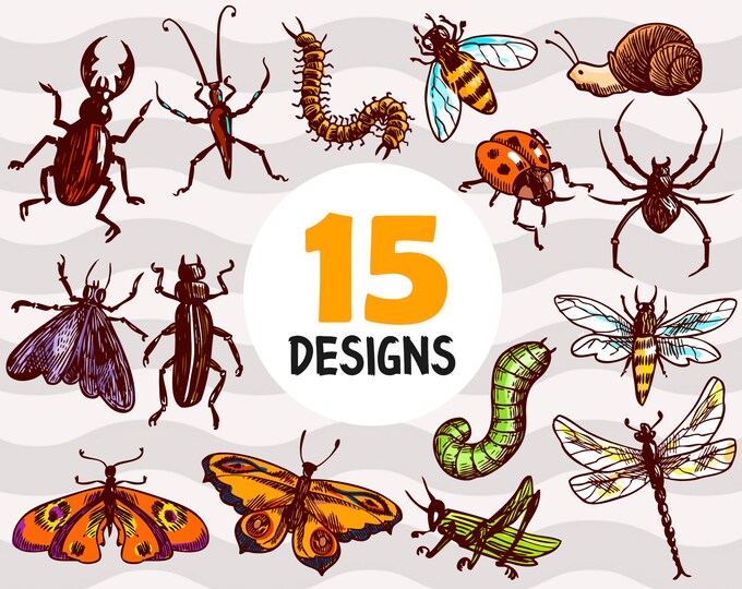 Insect Sketch Svg,insect Svg, Bug Svg, Insects Svg,insect Clipart ...