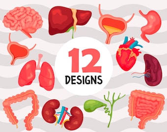 Human organs svg,Healthy biological organs SVG, Happy Organs PNG, Happy Organs Vector Clipart, Organs Image,print file,svg file, svg