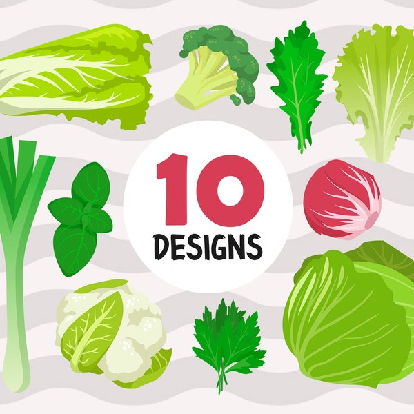 Salad svg,Vegetables SVG Files,Salad Clipart, salad print file svg, green salad clipart svg,cabbige svg, onion svg,print file,printable,svg