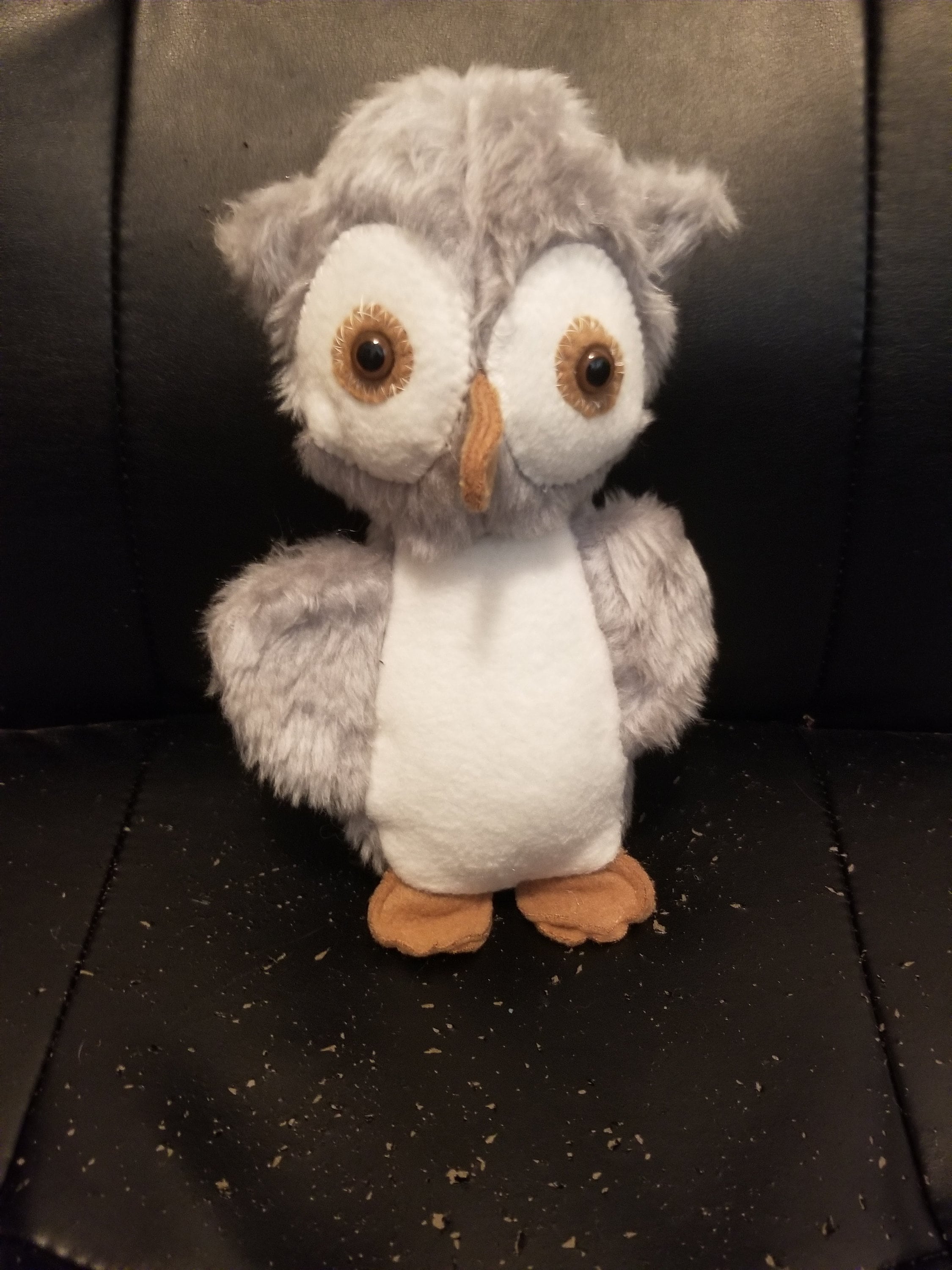 Stuffed Owl