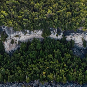 La tête de lion | Impression de l'Ontario