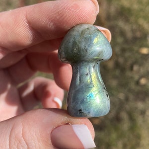 Flashy Green/Blue Labradorite Mushroom! Adorable Little Mushroom Crystal Carving