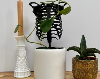 May include: A black plastic skeleton planter with a green plant growing through it. The planter is sitting on a white ceramic pot. There is a white ceramic candle holder with a tan candle, a gold pot with a green plant, and a gray rock on a wooden surface.