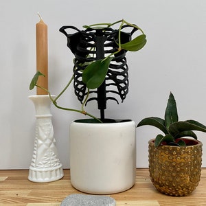 May include: A black plastic skeleton planter with a green plant growing through it. The planter is sitting on a white ceramic pot. There is a white ceramic candle holder with a tan candle, a gold pot with a green plant, and a gray rock on a wooden surface.