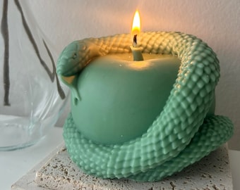 May include: A green apple shaped candle with a snake wrapped around it. The candle has a lit wick.