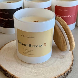 Island Breeze Candle| Coconut + apple+ pineapple| Scented Candle| Home decor candle| Vacation Candle| Handmade Candle| Unique Candle| Gifts