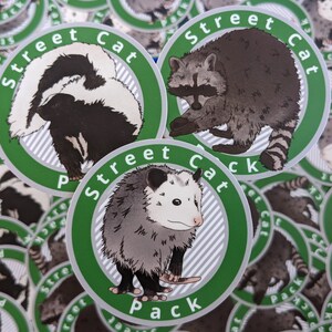 3 pack  vinyl stickers, Street Cat Pack