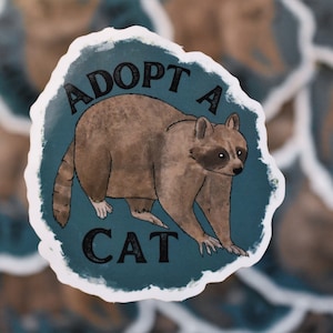 Vinyl Sticker, Adopt a Cat, Raccoon