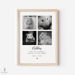Hamster Memorial Gift | personalised hamster photo collage print, pet loss print, sympathy hamster loss keepsake, hamster owner gifts