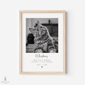 Regalo conmemorativo para gatos / Impresión conmemorativa de gatos, impresión fotográfica de gatos, regalo de condolencia por la pérdida de una mascota, impresión de una mascota, regalo por la pérdida de un gato, impresión fotográfica personalizada de un gato