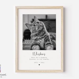 Cat Memorial Gift | cat memorial print, photo cat print, sympathy pet loss gift, pet loss print, cat loss gift, personalised cat photo print
