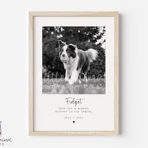 Hund Erinnerungsgeschenk | Hunde Gedenkdruck, Foto Hunde Druck, Sympathie Haustier Verlust Geschenk, Haustier Verlust Druck, Hunde Verlust Geschenk, personalisierter Hunde Foto Druck