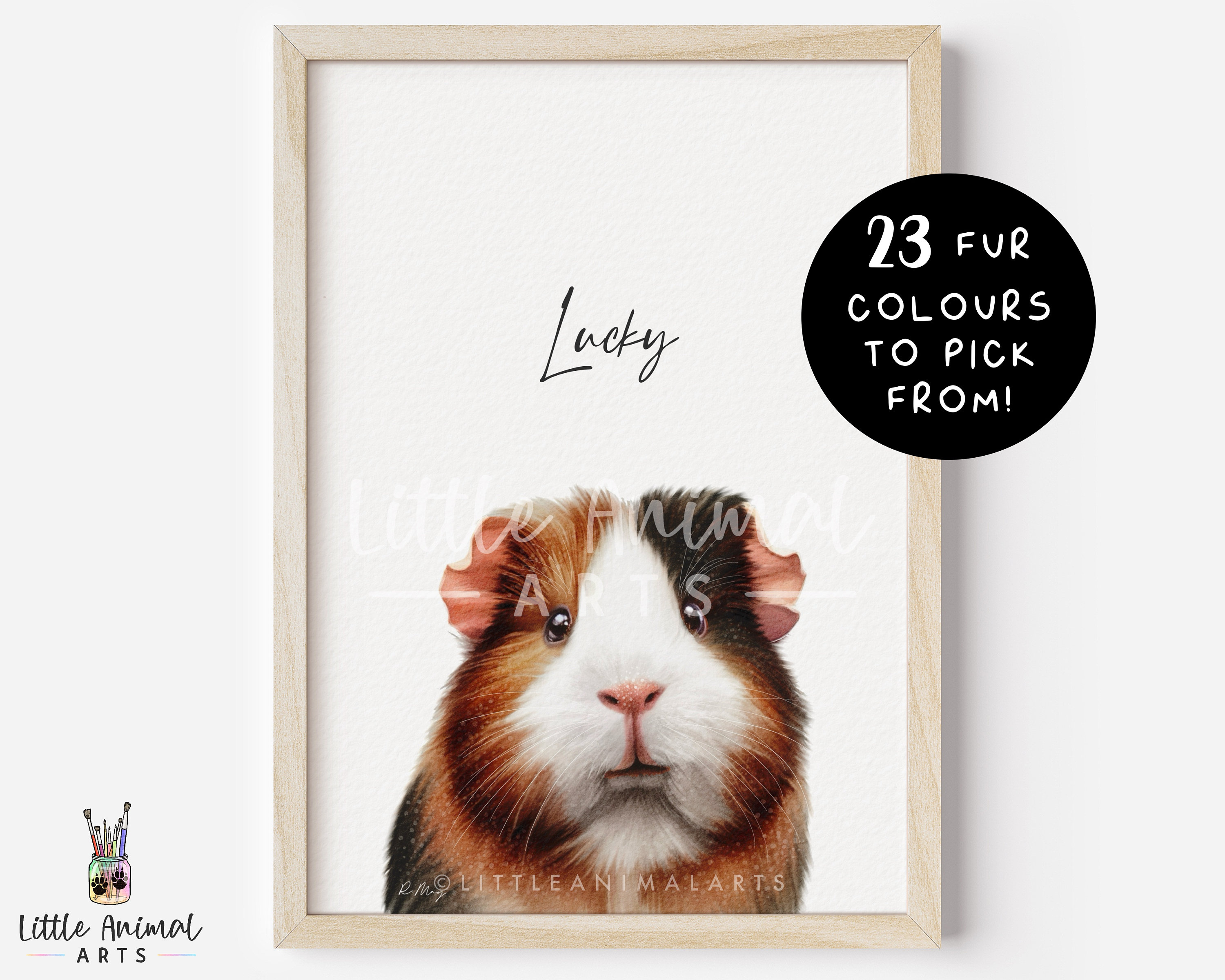 Guinea Pig Room Sign UK