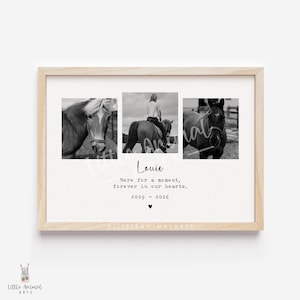 May include: A framed monochrome print with three horse photographs. The print includes the name "Louie", the years 2009-2026, and the text "Here for a moment, forever in our hearts."