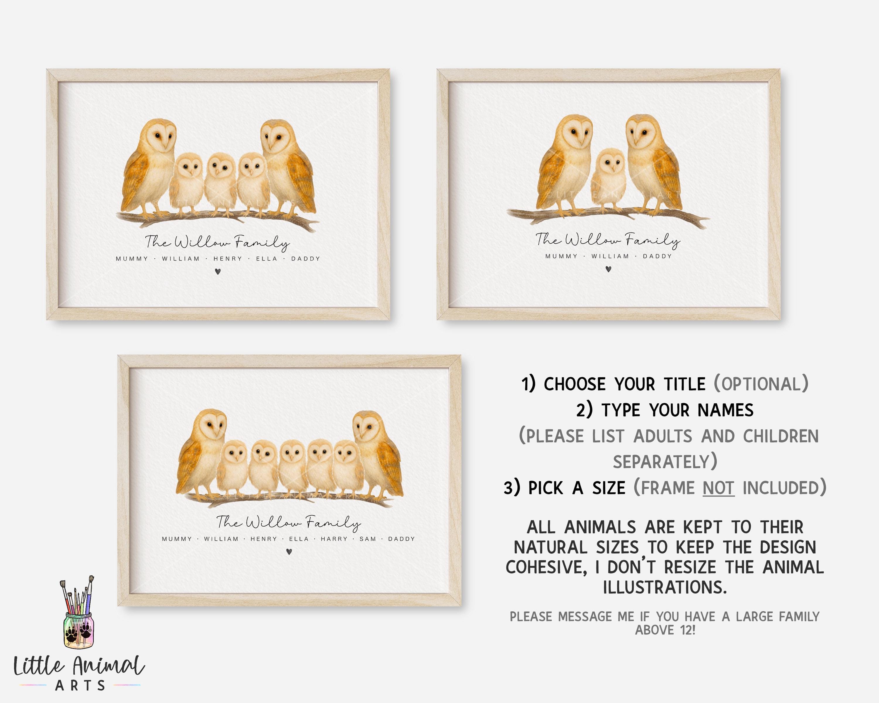 廃盤品】 Birds Barn owl 親 Barn Owl |