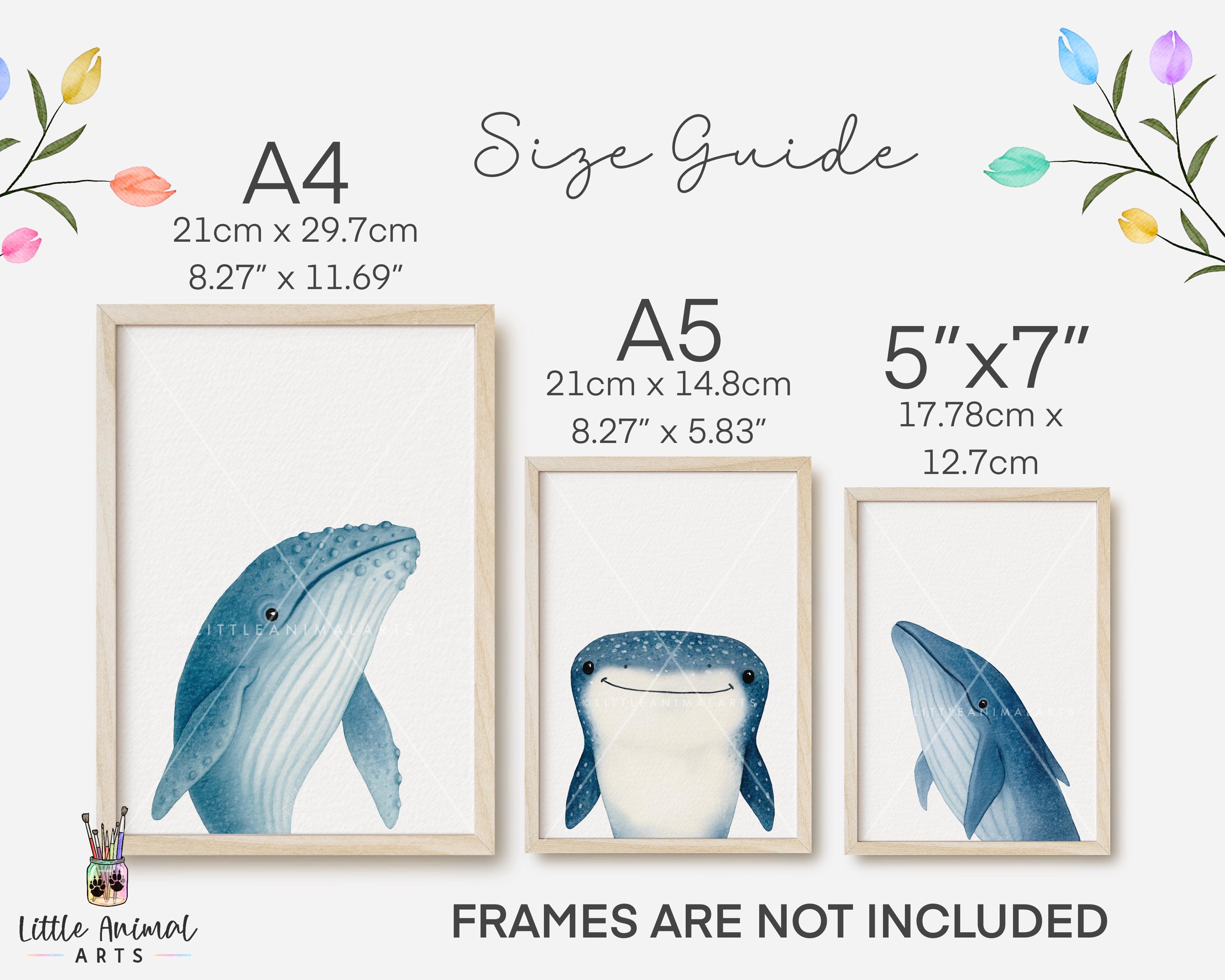 Baby Whale Print Set • Blue Whale Humpback Whale Shark Nursery Wall Art •  Ocean Animal Kids Room Decor • Nautical Sea Life Artwork - Etsy
