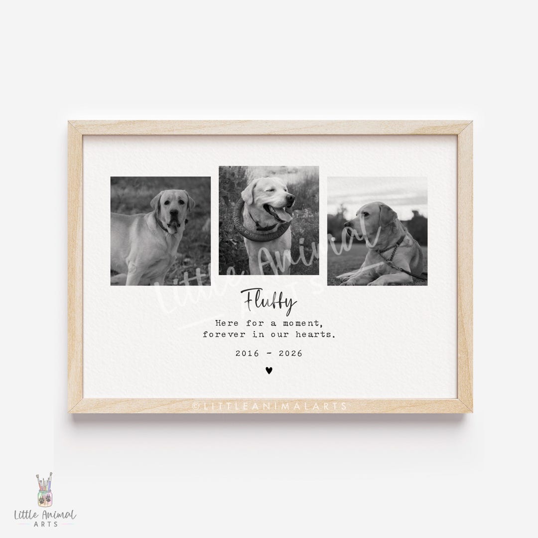 Dog Memorial Gift | Personalised Dog Photo Print, Multi Photo Pet Loss ...