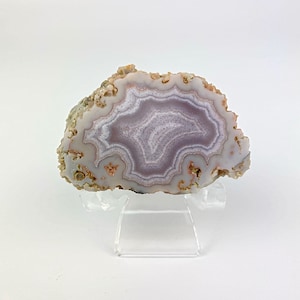 Gorgeous rare mexican agate specimen/Ojo Laguna Agate from the Vacuna Deposit/Beautiful mexican agate/Rare agate/Crystal gift