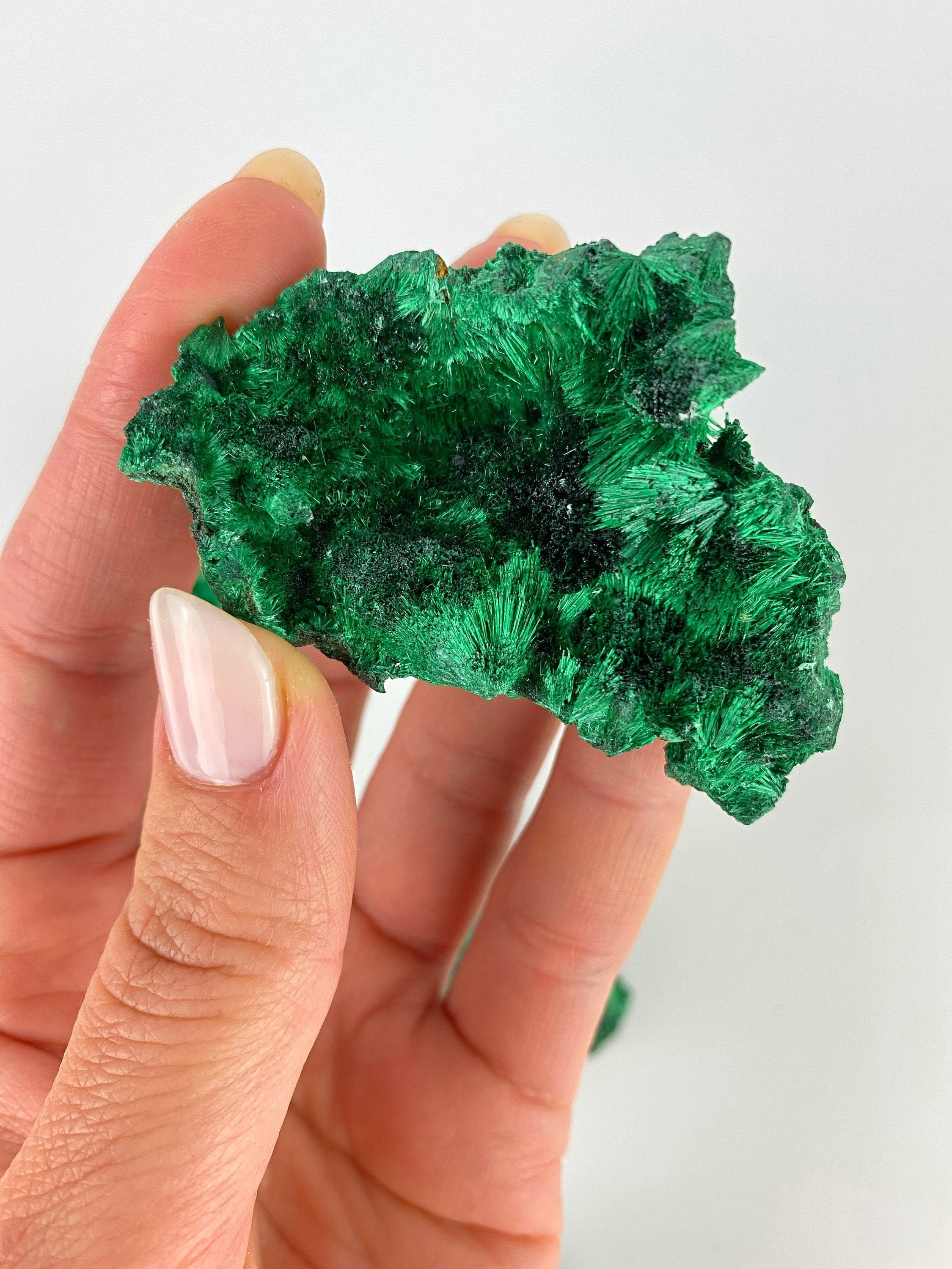 Rare Malachite specimen/Velvet malachite/Fibrous Etsy