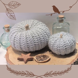 Peut inclure: Deux citrouilles grises en crochet sur une tranche de bois avec une étoile en cannelle et une tranche d'orange séchée.