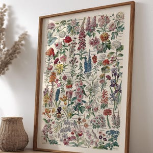 Afdrukbare bloemenkaart voor kinderen en gezinnen – Educatieve botanische muurkunst met verbeterde AI voor leren of als huisdecoratie