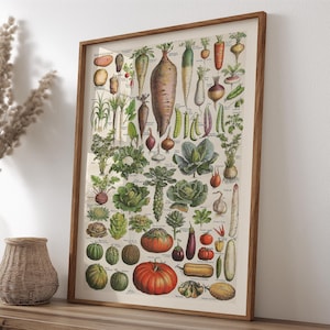 Vintage botanisches Gemüse Poster - druckbare Küchen-Wandkunst mit Heirloom-Pflanzen und Gartengemüse